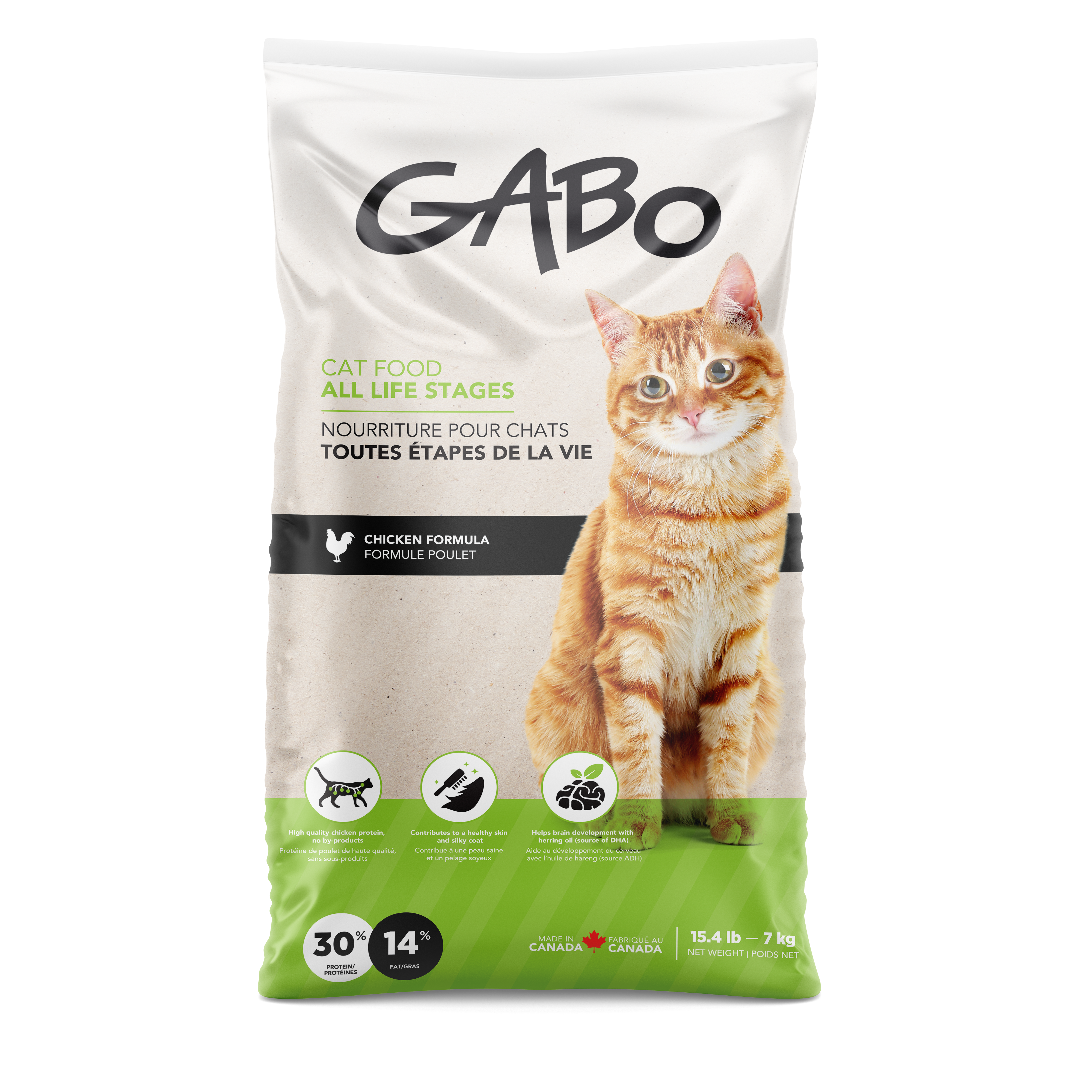 Gabo: Nourriture de qualité à prix abordable - chats et chattons