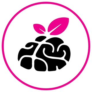 Huile de hareng (ADH) pour un développement cérébral sain