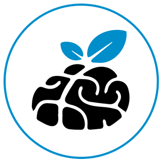 Huile de hareng (ADH) pour un développement cérébral sain