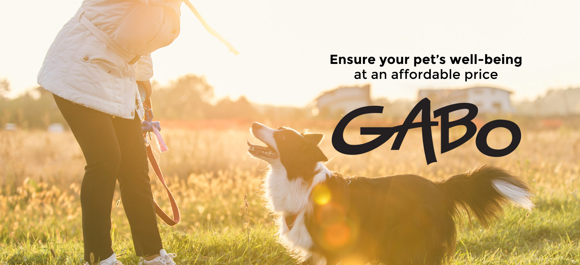 Gabo Premium And Affordable Dog And Cat Food
